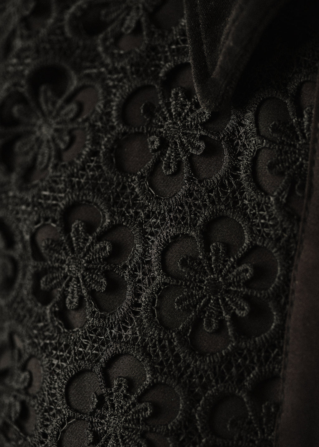 Lace dress with velvet collar
